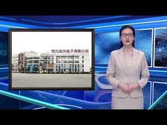 RF 마이크로파 저항 RIG