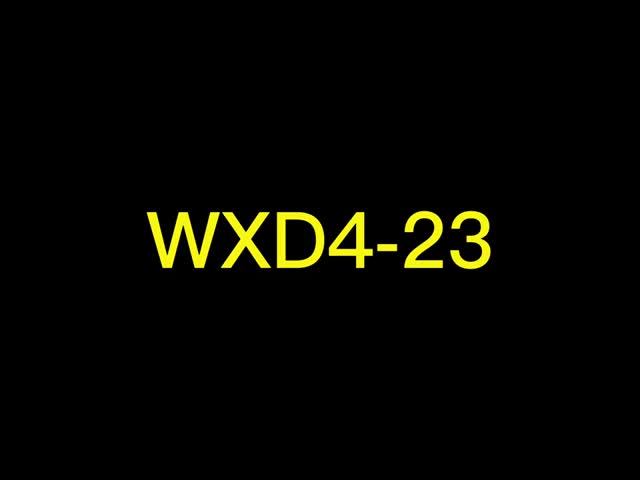 WXD4-23 100ohm 다회전 3W 와이어 와운드 전압계 200V 고전압